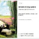 고고판다