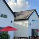 판포레스트 이미지