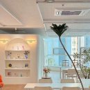 송파유정유치원 이미지