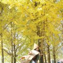 용면초등학교 이미지