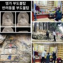 천도장묘 네이버블로그