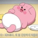 Gym&T 이미지