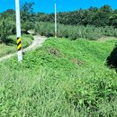 대소원면사무소 이미지