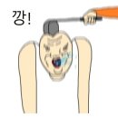 레몬레이디