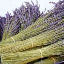 우석대학교 교육대학원 이미지