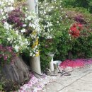 아리따운펜션 이미지