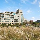 한화리조트제주 이미지