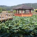 하가리집 이미지