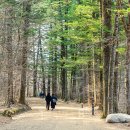 공연 전시장길 코스 이미지