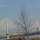 2024년 1월 28일 장자호수공원과 구리한강시민공원 이미지