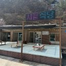 금진마트 | 강릉 벚꽃 구경 여행 실시간 후기｜지금 가도 예쁜 벚꽃 명소 총정리!