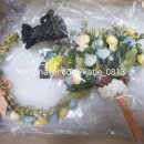 메리슈가 이미지