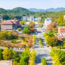 동국대학교(WISE) 경영대학원 이미지