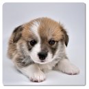 연제종합동물병원 이미지