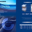 로얄크리닝 | 춘천 퇴계 썬팅 하버캠프 로얄본드 BMW 520i 작업후기 추천