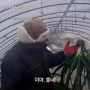 물조리자리