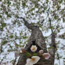 강남해안로 이미지