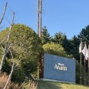 기장중학교 | 기장 빌라쥬 드 아난티 루 다녀왔어요~! 중식 코스 말고 단품으로 즐긴 리얼 후기