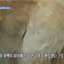 멍빨DAY 이미지