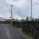 조수리 플로어 이미지