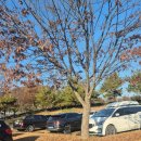 우포늪 광장 | 손잡고 거닐기 좋았던 대구 근교 가볼만한 곳, 우포늪체험장 / 창녕 여행 / 창녕 여행지 / 창녕 여행지...