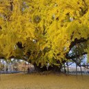 동원상회 이미지