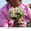 서학동사진관 전북도민일보