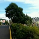 월포초등학교(병설유치원) 이미지