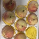 광인농장 이미지