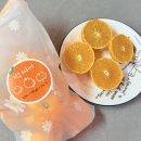 다미농장 | 제주도타이백감귤 박씨네한라봉 새콤달콤 맛있어서 순삭 고당도감귤