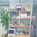 일산고양이분양&미용 반하나캣 | 친구가 생겼어요! 먼치킨 고양이 분양 <일산고양이분양&amp;미용 반하나캣>