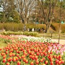 신트리공원 농구장 이미지