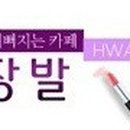 스팟콘 이미지