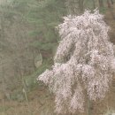 야로경로당 이미지