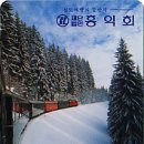 D00018 네이버블로그
