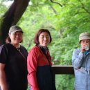 에이스농장 이미지