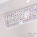 독거미키보드 f99 페블온 키캡 커스텀 후기