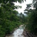 한방자연휴양림(산청) 이미지