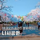 꽃향기바다소리 | 후쿠오카 벚꽃 명소, 니시공원 : 현지인만 아는 바다뷰 피크닉 명소