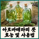 아로마테라피 이미지