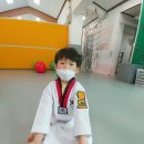 월드태권도체육관 이미지