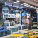 국영수산 | 태안 서부 수산 시장 서부전통시장 주차장 가볼만한곳