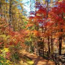 봉학골산림욕장 이미지