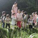 어울림숲어린이집 이미지