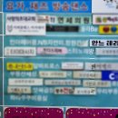 안느테라피
