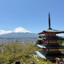 (주)나라고속관광 | 도쿄여행 4박5일 | 일정 코스 추천, 경비 비용 (1인당 113만원)