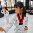 품 태권도 이미지