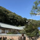 한옥펜션수진당 | 내돈내산] 4인 가족 촌캉스 여행 가성비 숙소 &#39;한옥펜션 수진당&#39; 1박 2일 후기 (+추천/비추 포인트 정리)