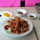 목화반점 이미지