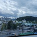 중앙청과3호